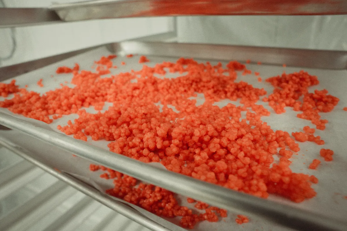 Small granules spread across a stainless-steel tray behind horizontal metal rails.